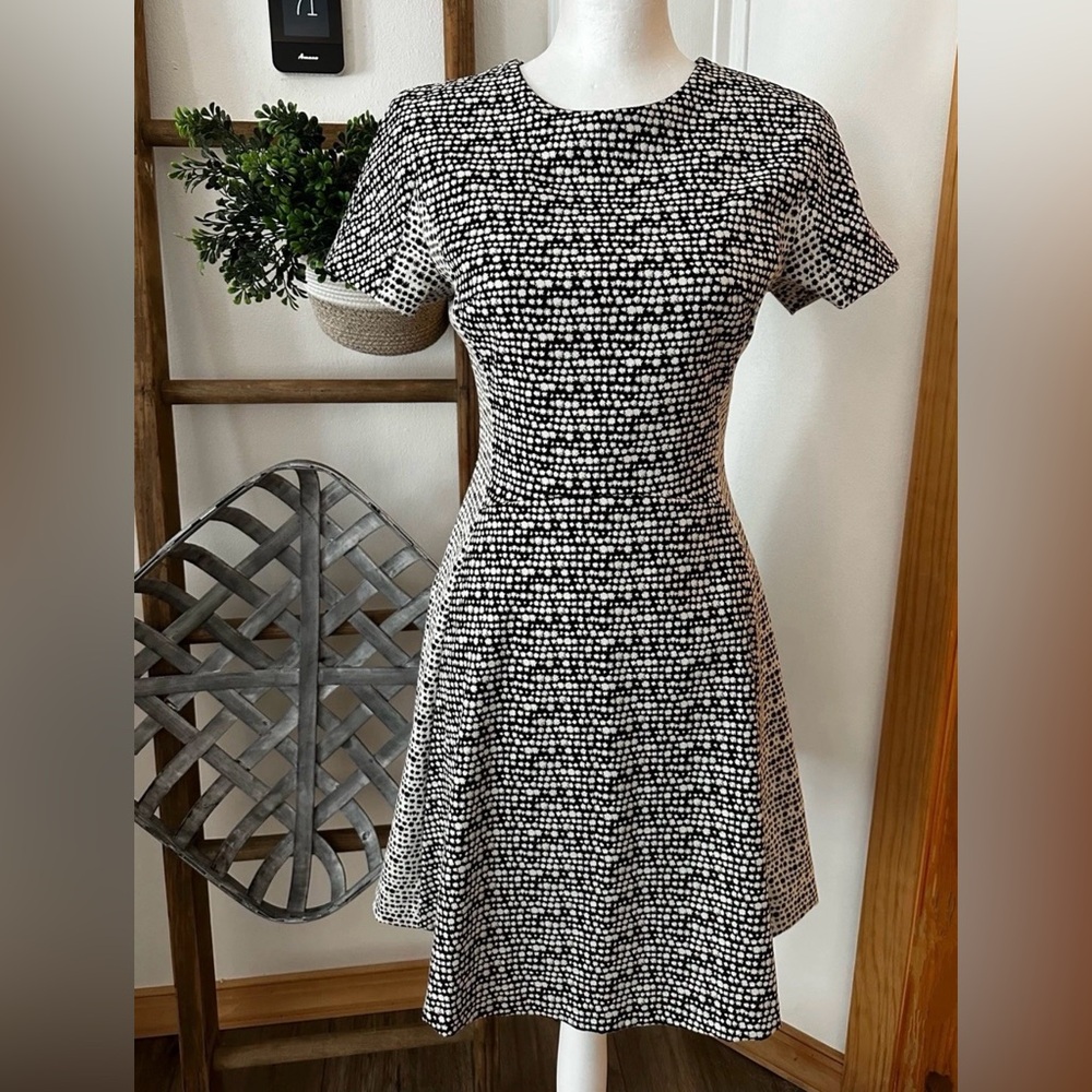 Banana Republic Black and White Midi Fit and Flare Dress